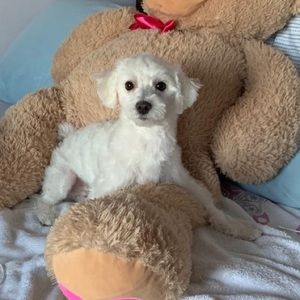 Meet your Posher, Gladys